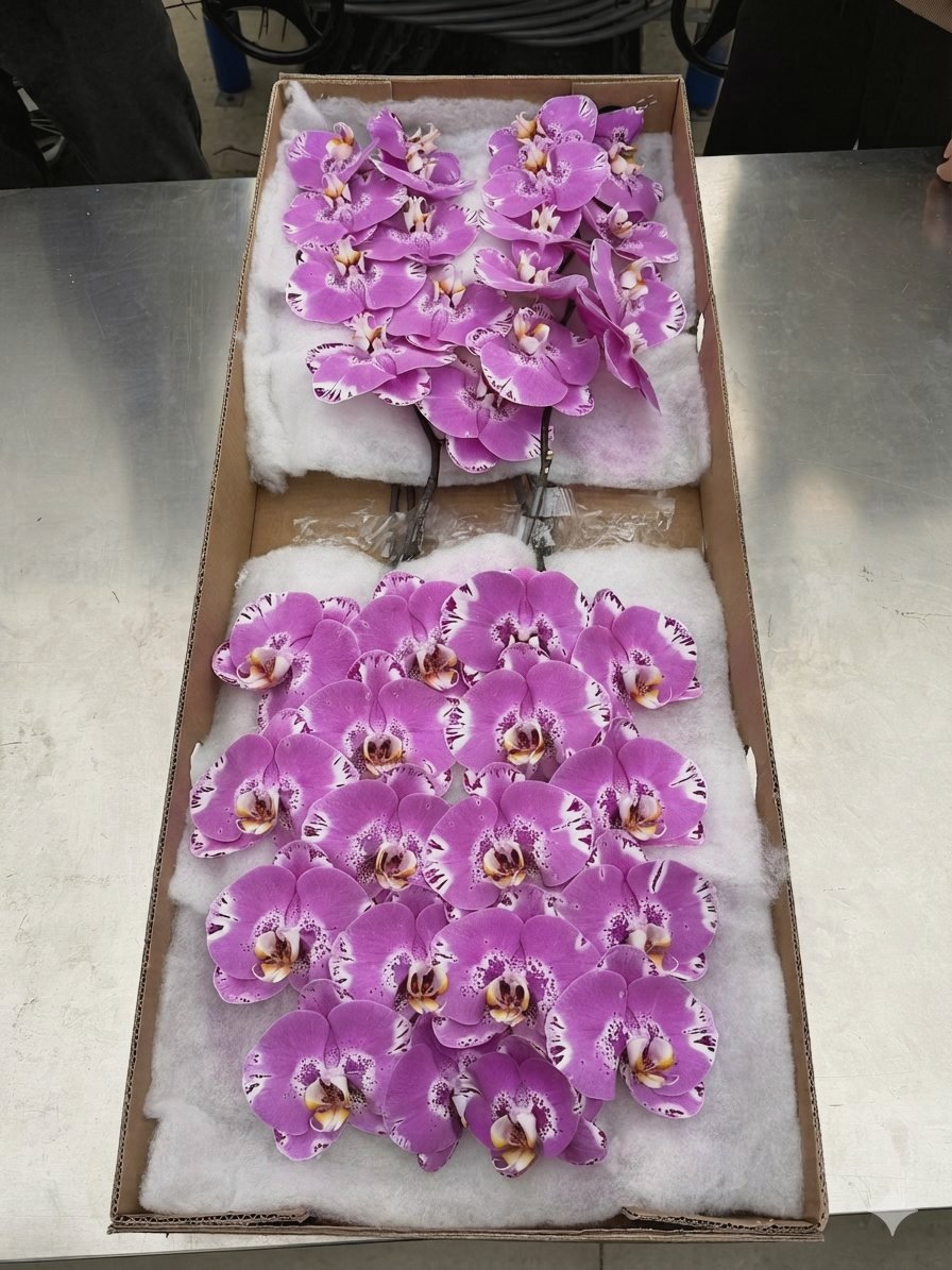 Cut Flower