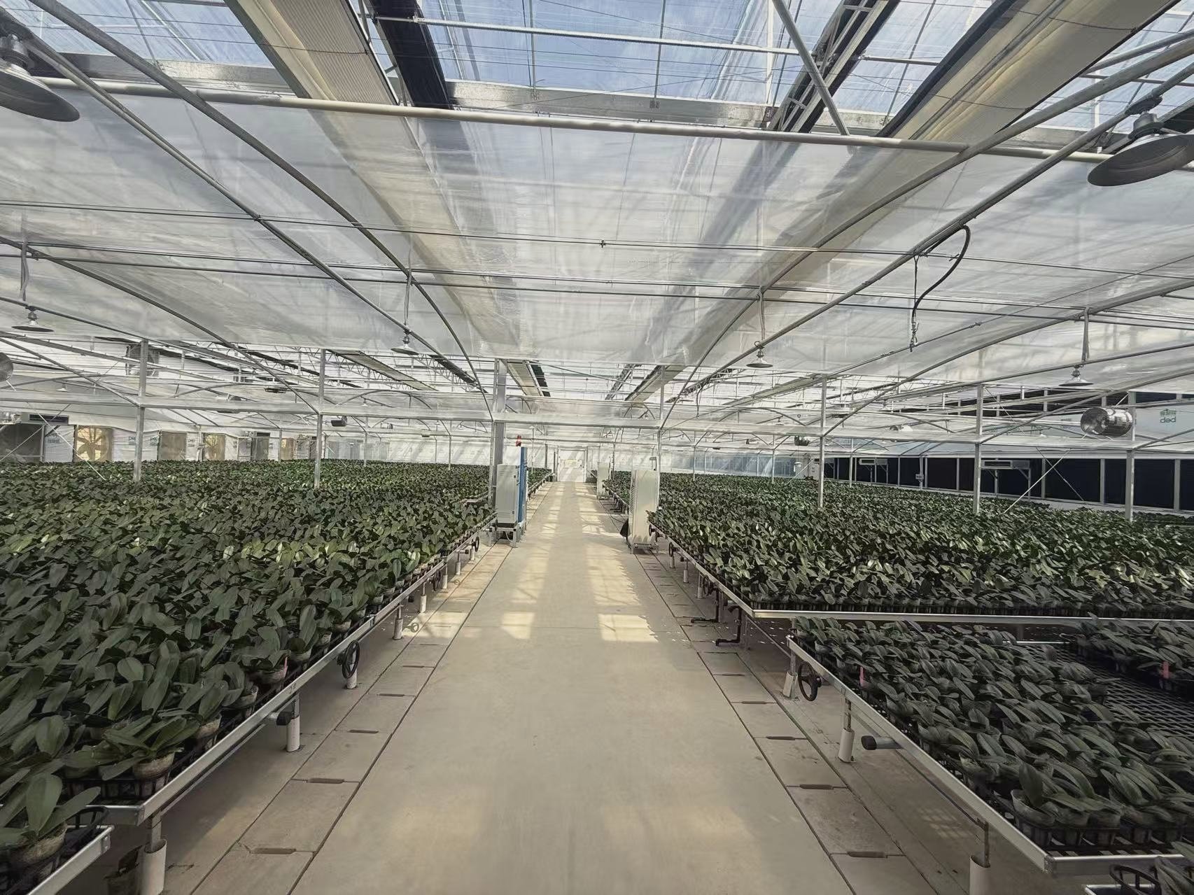 Automated European-certified greenhouse