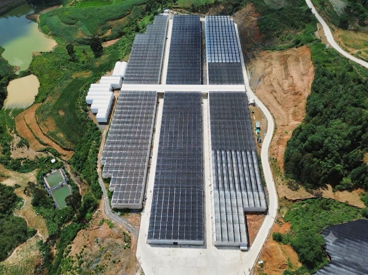 Aerial view of the Wenshan greenhouse complex